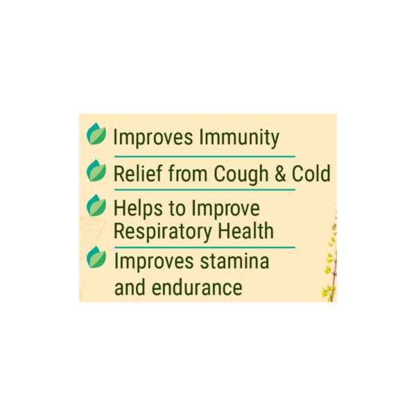 Patanjali Shila Tulsi Drop | Tulsi Drop 30 ml | - Image 3